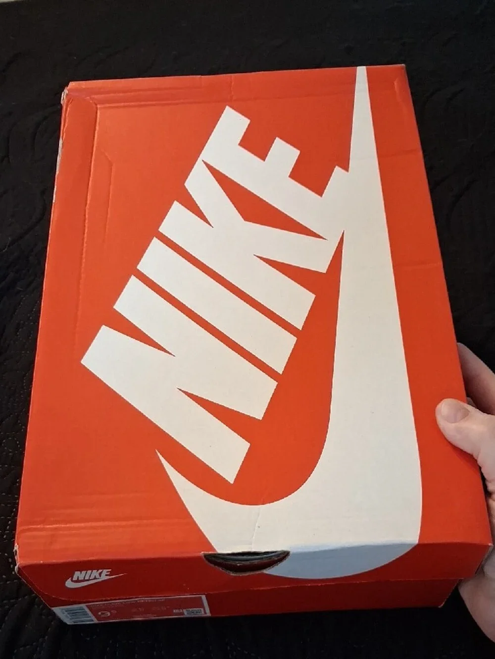Nike Dunk Low Restro SE 